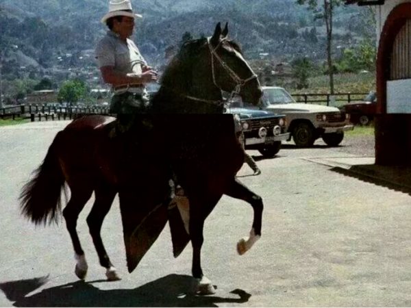 Tal fue el amor que Gonzalo Rodríguez Gacha, alias "El Mexicano", sentía por su caballo, que mandó construirle un establo de más de 25 metros cuadrados, equipado con todas las comodidades.