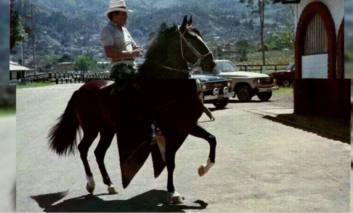 Tal fue el amor que Gonzalo Rodríguez Gacha, alias "El Mexicano", sentía por su caballo, que mandó construirle un establo de más de 25 metros cuadrados, equipado con todas las comodidades.