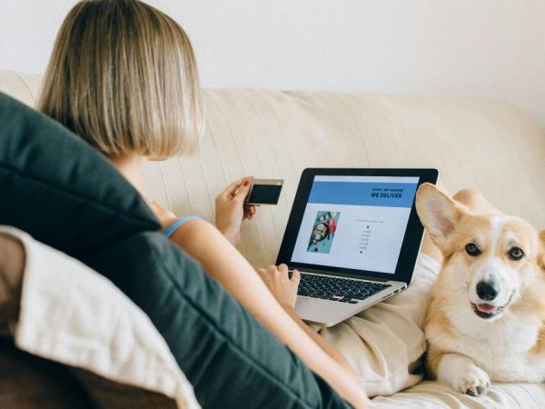 Compras en línea: El comercio online mueve cientos de millones, en 2024 los ecuatorianos gastaron un promedio de $450. (Pexels).