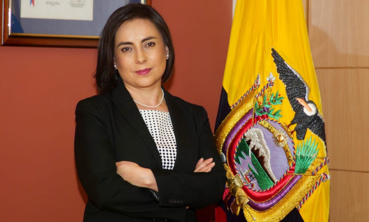 Crimen transnacional impulsa minería ilegal en 20 provincias, según presidenta de la Cámara de Minería