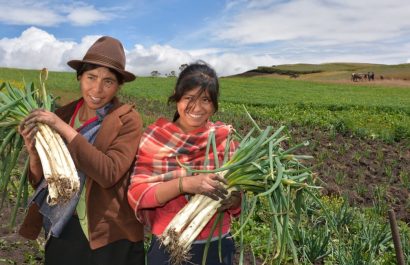 Ecuador genera la primera política agropecuaria de la juventud, así lo anunció el ministro de Agricultura y Ganadería. (MAG).
