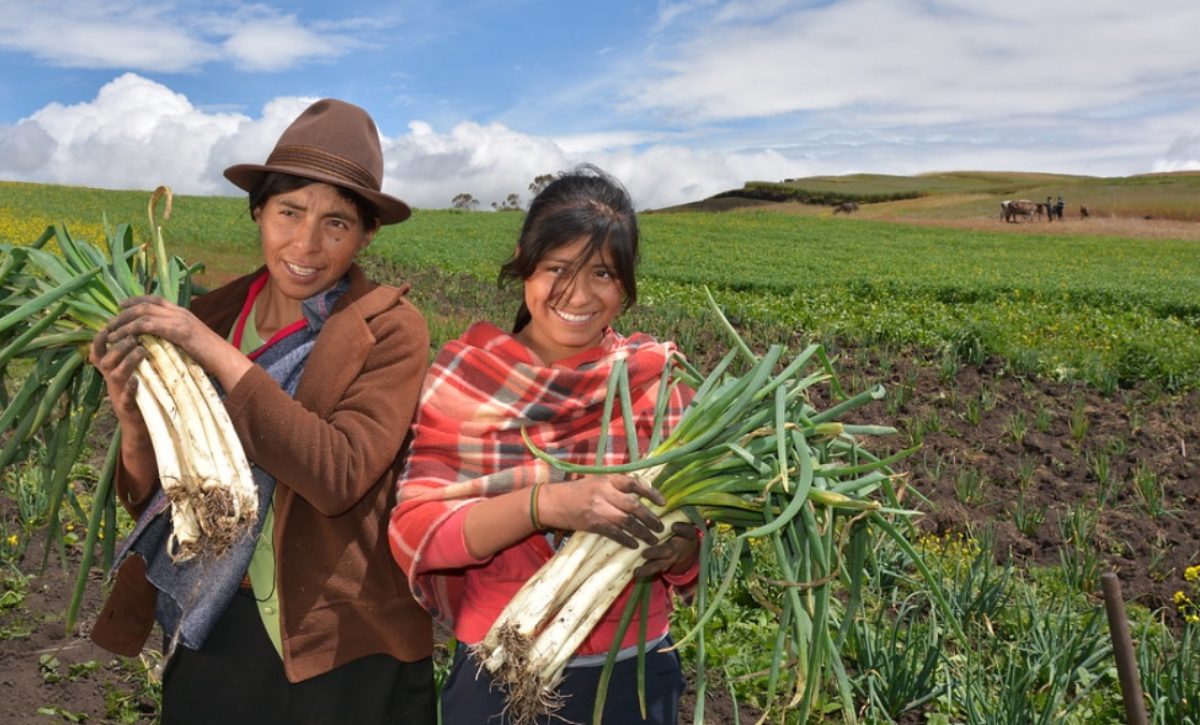 Ecuador genera la primera política agropecuaria de la juventud, así lo anunció el ministro de Agricultura y Ganadería. (MAG).