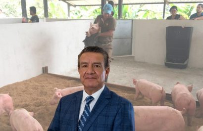 Ecuador produce carne de cerdo con calidad internacional, pero los costos de producción impiden competir en la región. (Cortesía).
