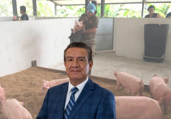 Ecuador produce carne de cerdo con calidad internacional, pero los costos de producción impiden competir en la región. (Cortesía).