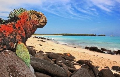 Ecuador revela estudio pionero sobre cuentas ecosistémicas de Galápagos
