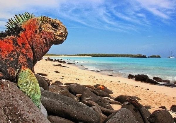 Ecuador revela estudio pionero sobre cuentas ecosistémicas de Galápagos