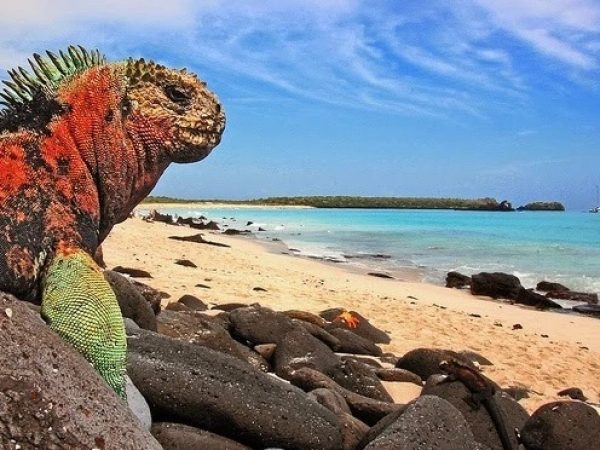 Ecuador revela estudio pionero sobre cuentas ecosistémicas de Galápagos