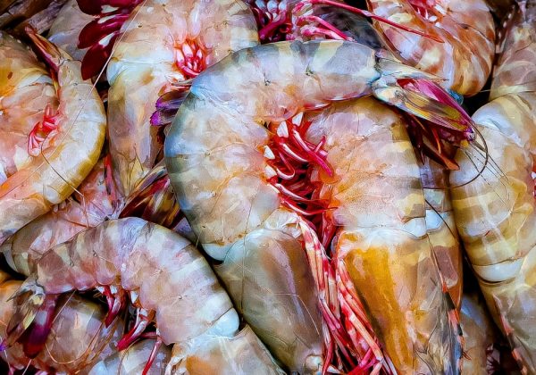 El camarón se consolidó como el producto de mayor exportación de Ecuador, por encima del petróleo. (Pexels)