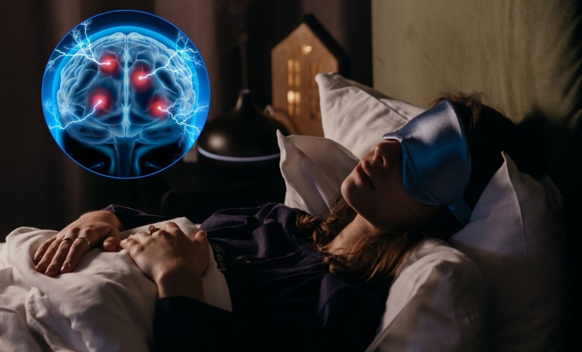 ¿El cerebro se apaga al dormir? La ciencia revela cómo funciona durante el sueño