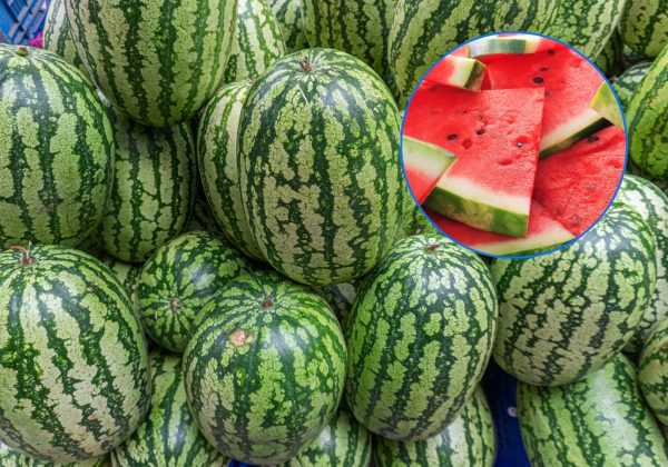 El truco más fiable para que sepas elegir una buena sandía está en este detalle