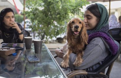 En al menos 18 ciudades de Irán, incluyendo Isfahán, Kermán e Ilam, se ha prohibido pasear perros en espacios públicos.