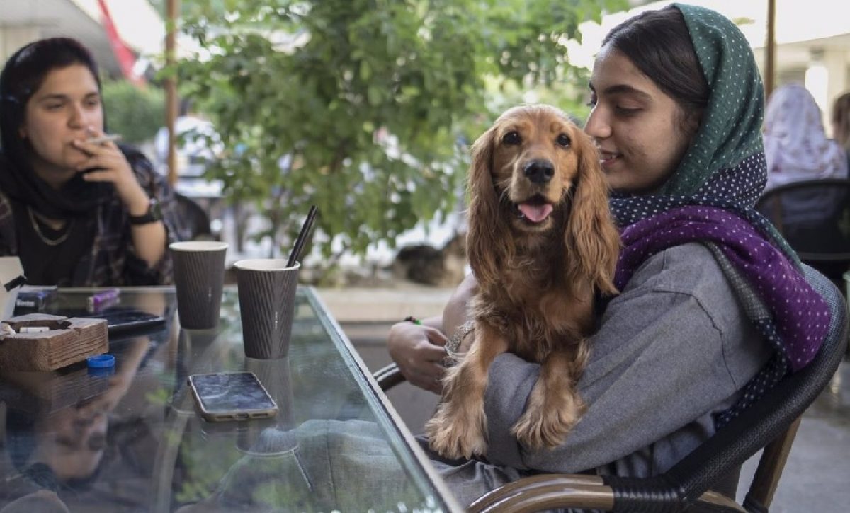 En al menos 18 ciudades de Irán, incluyendo Isfahán, Kermán e Ilam, se ha prohibido pasear perros en espacios públicos.