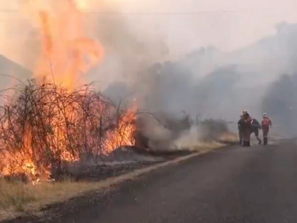 España registra la mayor devastación por incendios forestales de su historia, con más de 343 mil hectáreas consumidas, según datos oficiales.