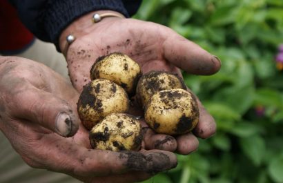 Estas son las cinco actividades del sector primario que genera mayor empleabilidad en los ecuatorianos, según el INEC. ( Ministerio de Agricultura).