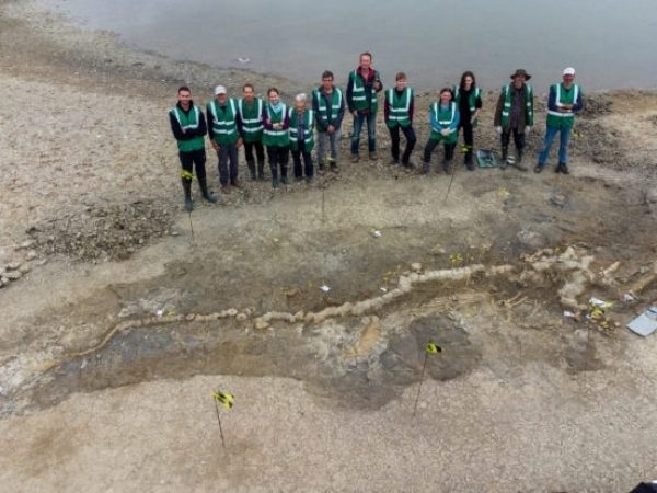 Hallado el fósil de un dragón marino de 10 metros en una laguna inglesa
