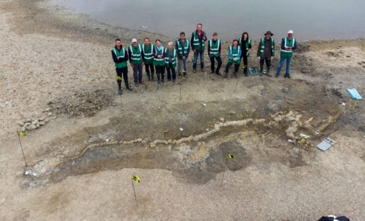 Hallado el fósil de un dragón marino de 10 metros en una laguna inglesa
