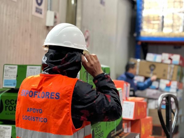 Exportación de flores ecuatorianas cayó 8% por Día de la Madre 2025 debido al clima