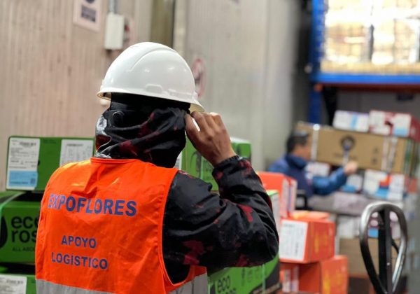 Exportación de flores ecuatorianas cayó 8% por Día de la Madre 2025 debido al clima