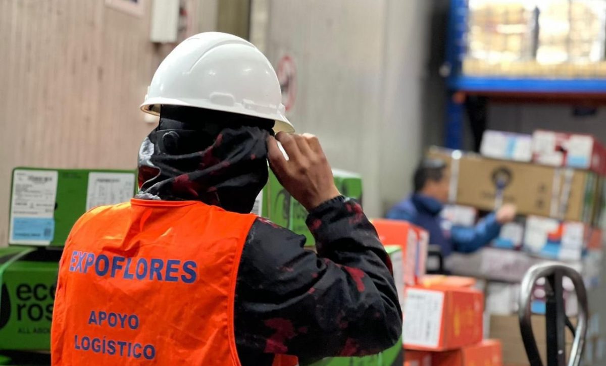 Exportación de flores ecuatorianas cayó 8% por Día de la Madre 2025 debido al clima