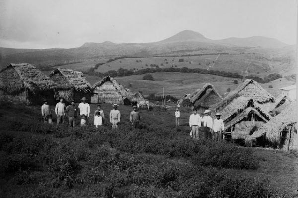 Casas de obreros, hacienda El Progreso, 1888, en la isla San Cristóbal, Galápagos, al mando de Manuel J Cobos.