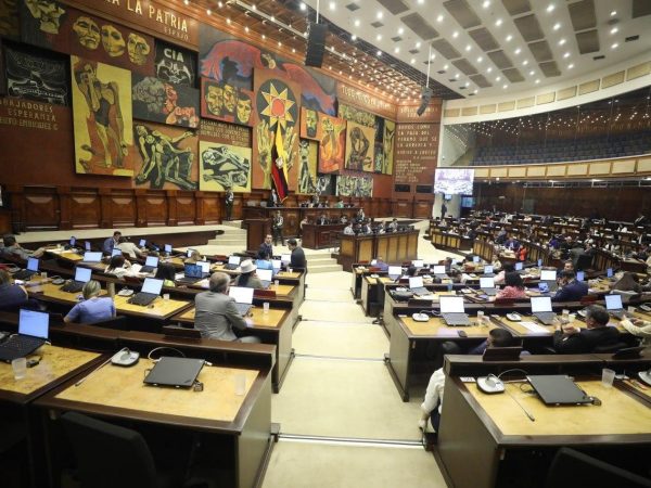 Una de las sesiones del Pleno de la Asamblea Nacional. FOTO: @AsambleaEcuador.