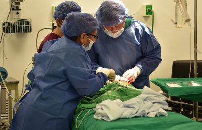 Municipio de Guayaquil garantiza operaciones gratuitas de labio leporino y paladar hendido, mejorando la calidad de vida de niños.