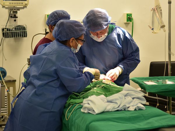 Municipio de Guayaquil garantiza operaciones gratuitas de labio leporino y paladar hendido, mejorando la calidad de vida de niños.