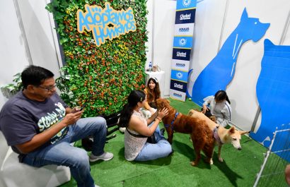 Guayaquil acogió una masiva edición de la Comic Con 2025, que combinó cultura pop, turismo, adopciones de animales.