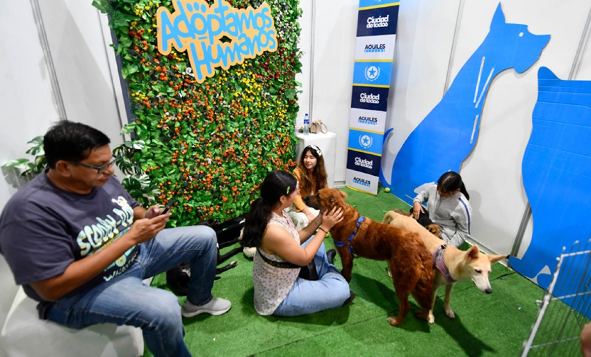 Guayaquil acogió una masiva edición de la Comic Con 2025, que combinó cultura pop, turismo, adopciones de animales.