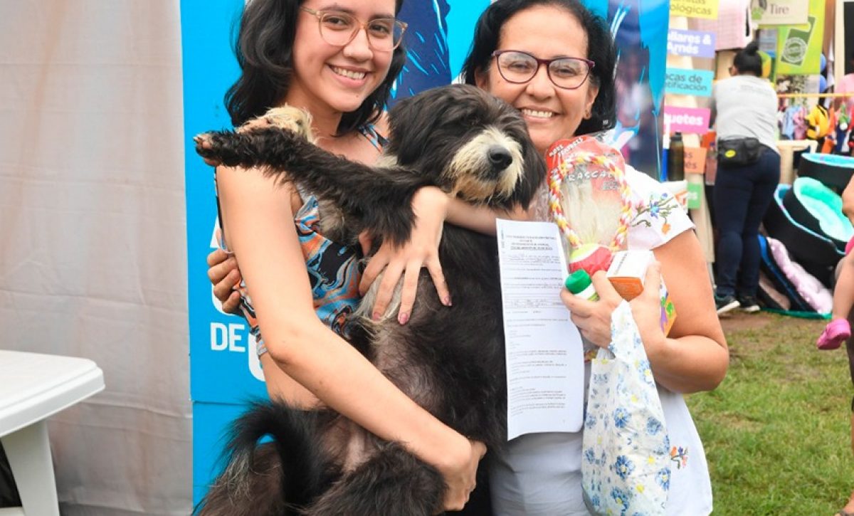 El programa Voluntariado Animal del Municipio de Guayaquil reunió a más de 140 ciudadanos en su primer mes de ejecución.