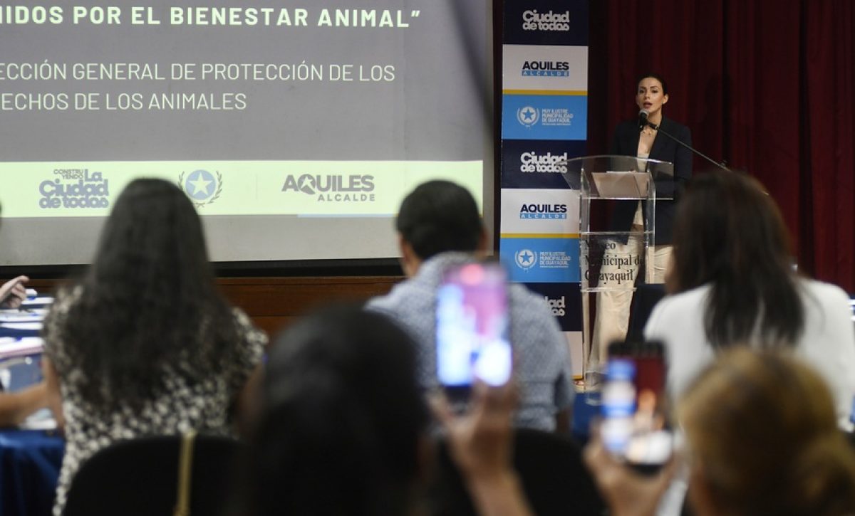 Municipio de Guayaquil reunió a organizaciones para acordar acciones urgentes frente al aumento de denuncias por abandono, maltrato animal.