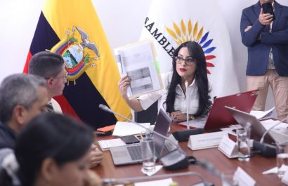 Viviana Veloz, presidenta de la Comisión, quien exigió declarar en emergencia el sector salud. FOTO: @AsambleaEcuador.
