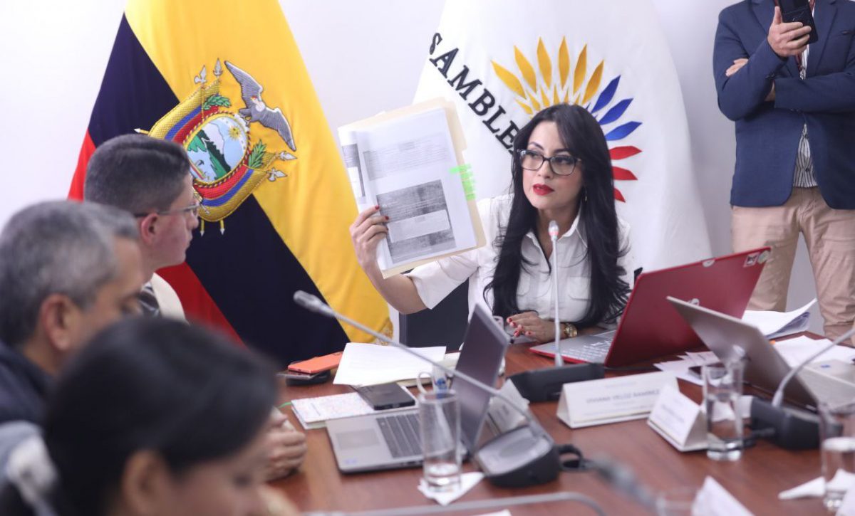 Viviana Veloz, presidenta de la Comisión, quien exigió declarar en emergencia el sector salud. FOTO: @AsambleaEcuador.