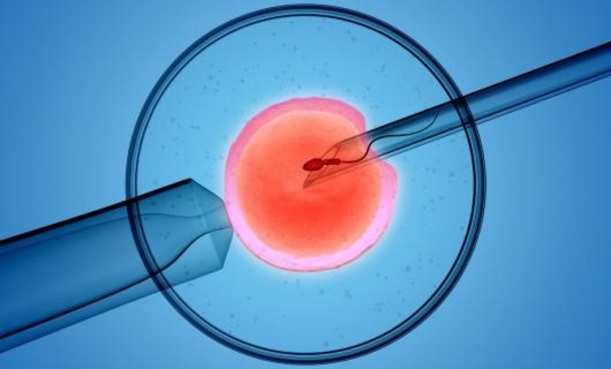 Hombres de más de 45 años tienen menos éxito en la fecundación in vitro, según estudio
