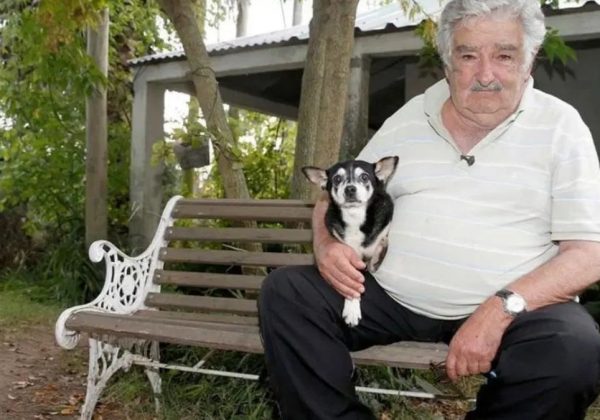 José Mujica será cremado y sus cenizas se esparcirán junto a los restos Manuela, su perra que tenía tres patas. (Internet).