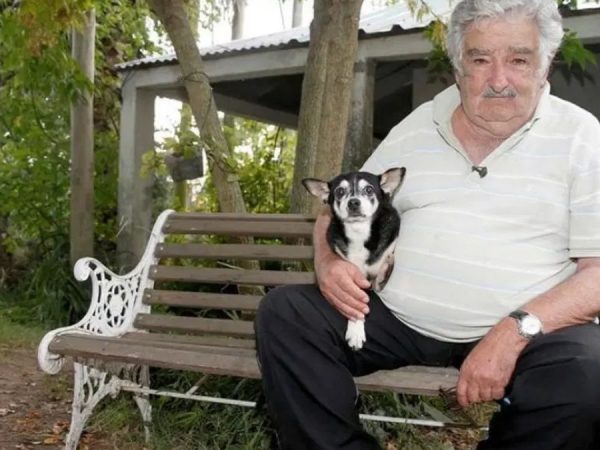 José Mujica será cremado y sus cenizas se esparcirán junto a los restos Manuela, su perra que tenía tres patas. (Internet).