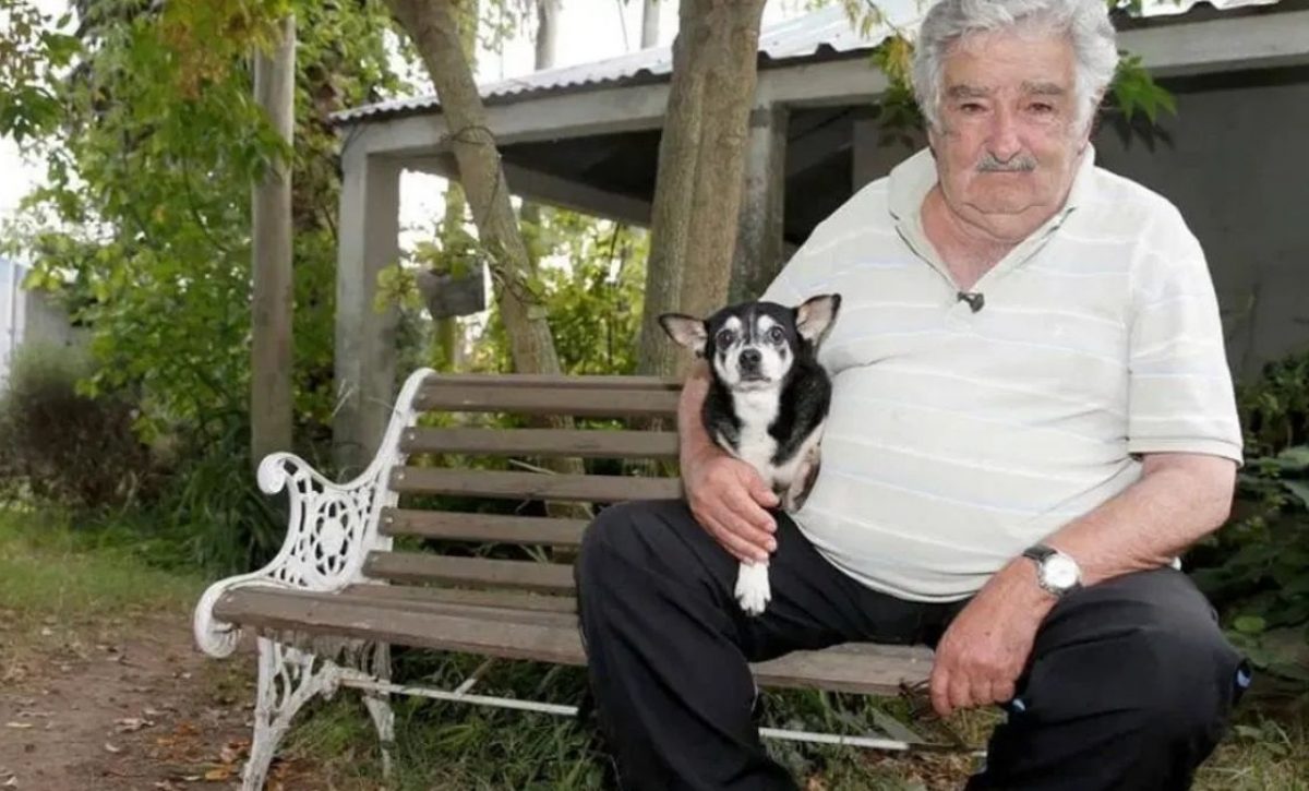 José Mujica será cremado y sus cenizas se esparcirán junto a los restos Manuela, su perra que tenía tres patas. (Internet).