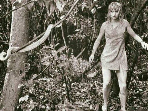 Juliane Koepcke, una zoóloga peruano-alemana, sobrevivió milagrosamente en 1971 a la caída de 3 mil metros desde un avión.