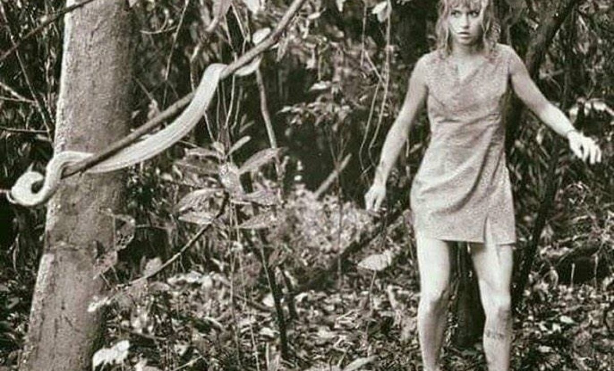 Juliane Koepcke, una zoóloga peruano-alemana, sobrevivió milagrosamente en 1971 a la caída de 3 mil metros desde un avión.