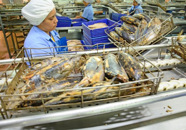 Detrás de cada tonelada está el trabajo invisible de más de 12.000 mujeres.