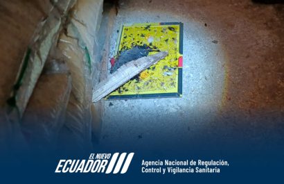 La Arcsa clausura una envasadora de alimentos en Cuenca por supuesta insalubridad y presencia de plagas