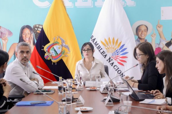 La Asamblea Nacional convocará otra vez a juristas para analizar el proyecto de Ley Reformatoria al Código de la Niñez y Adolescencia. (AN).