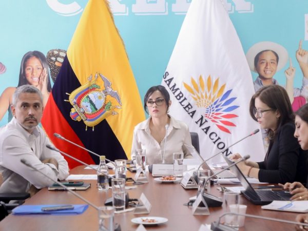 La Asamblea Nacional convocará otra vez a juristas para analizar el proyecto de Ley Reformatoria al Código de la Niñez y Adolescencia. (AN).