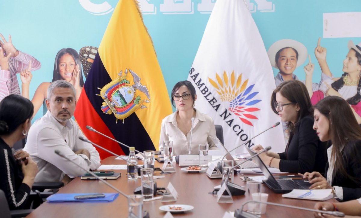 La Asamblea Nacional convocará otra vez a juristas para analizar el proyecto de Ley Reformatoria al Código de la Niñez y Adolescencia. (AN).