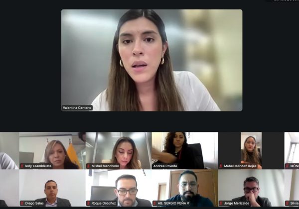 La Asamblea aprueba primer debate para proyecto sobre fortalecimiento de gestión pública. (Asamblea Nacional).