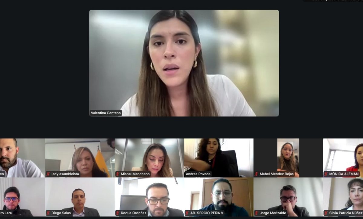 La Asamblea aprueba primer debate para proyecto sobre fortalecimiento de gestión pública. (Asamblea Nacional).