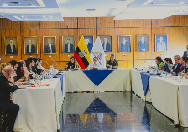 La Comisión de Niñez examina la inacción estatal ante casos de violencia sexual en el ámbito institucional. (AN)