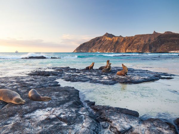Las Islas Galápagos combinan conservación y economía azul para un futuro sostenible