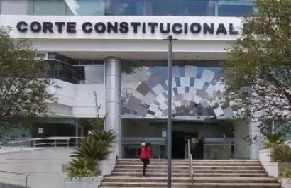 Ley de Solidaridad contra la Economía Criminal enfrenta revisión constitucional