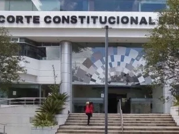 Ley de Solidaridad contra la Economía Criminal enfrenta revisión constitucional